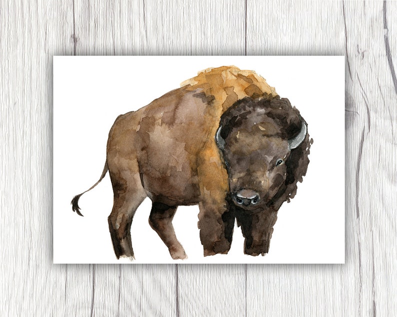 Bison Watercolor Bison Bison Painting Bison Art American | Etsy