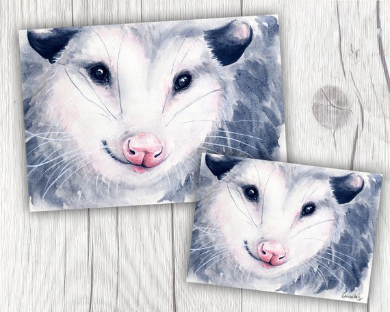possum palette