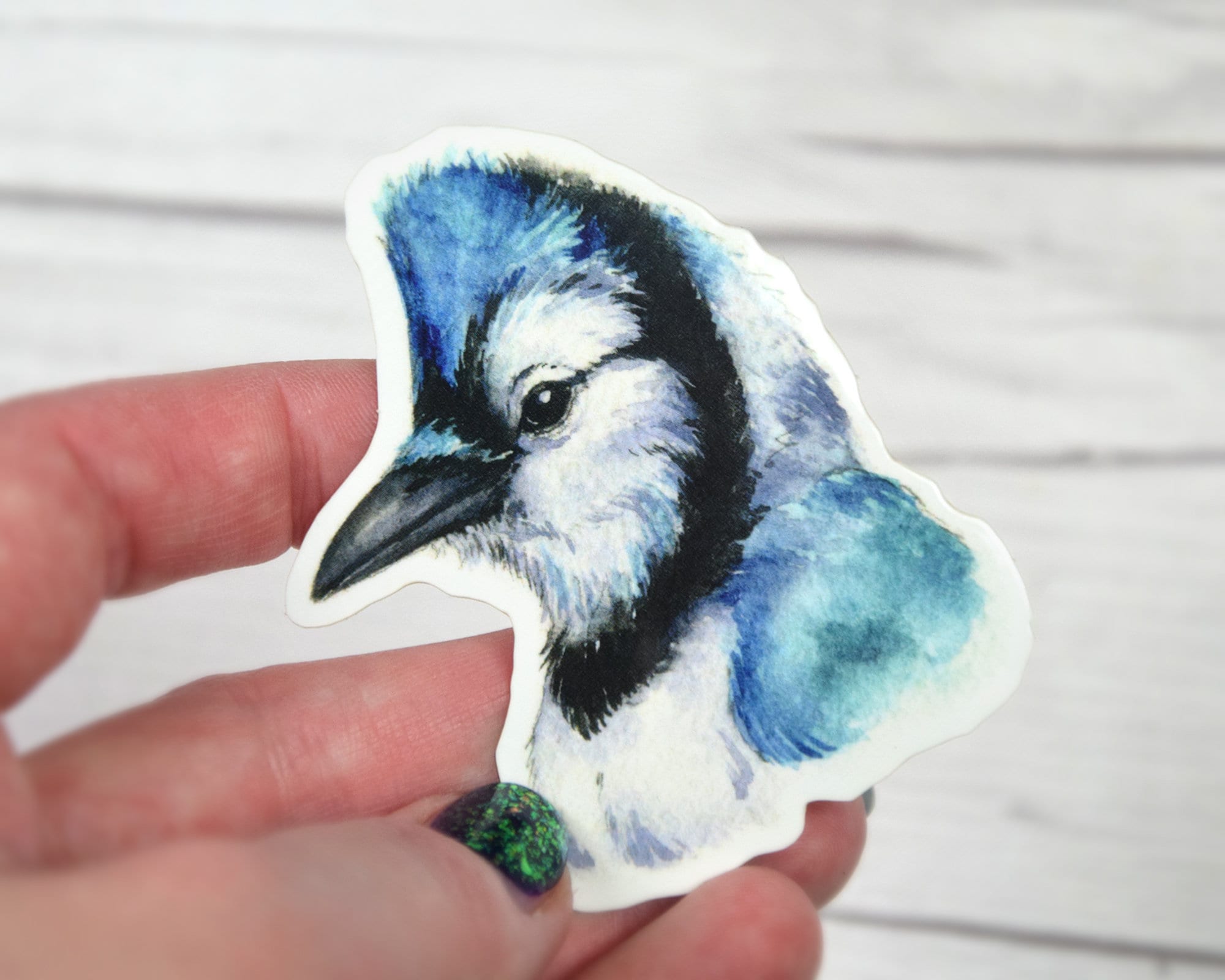 Blue Jay Tattoo Meanings  Designs  TatRing