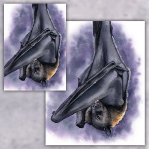 Fruit Bat, Watercolor Bat, Standard Art Print, Bat Painting, Bat Art, Watercolor Artwork, Bat Portrait, Fruit Bat Art, Bat