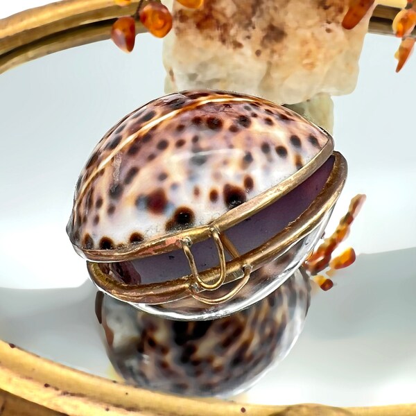 Natural Tiger Cowrie Shell Case. Vintage Brass Bound Hinged Seashell Coin Purse, Trinket Pot / Pill Box. Handmade Keepsake Jewellery Storage