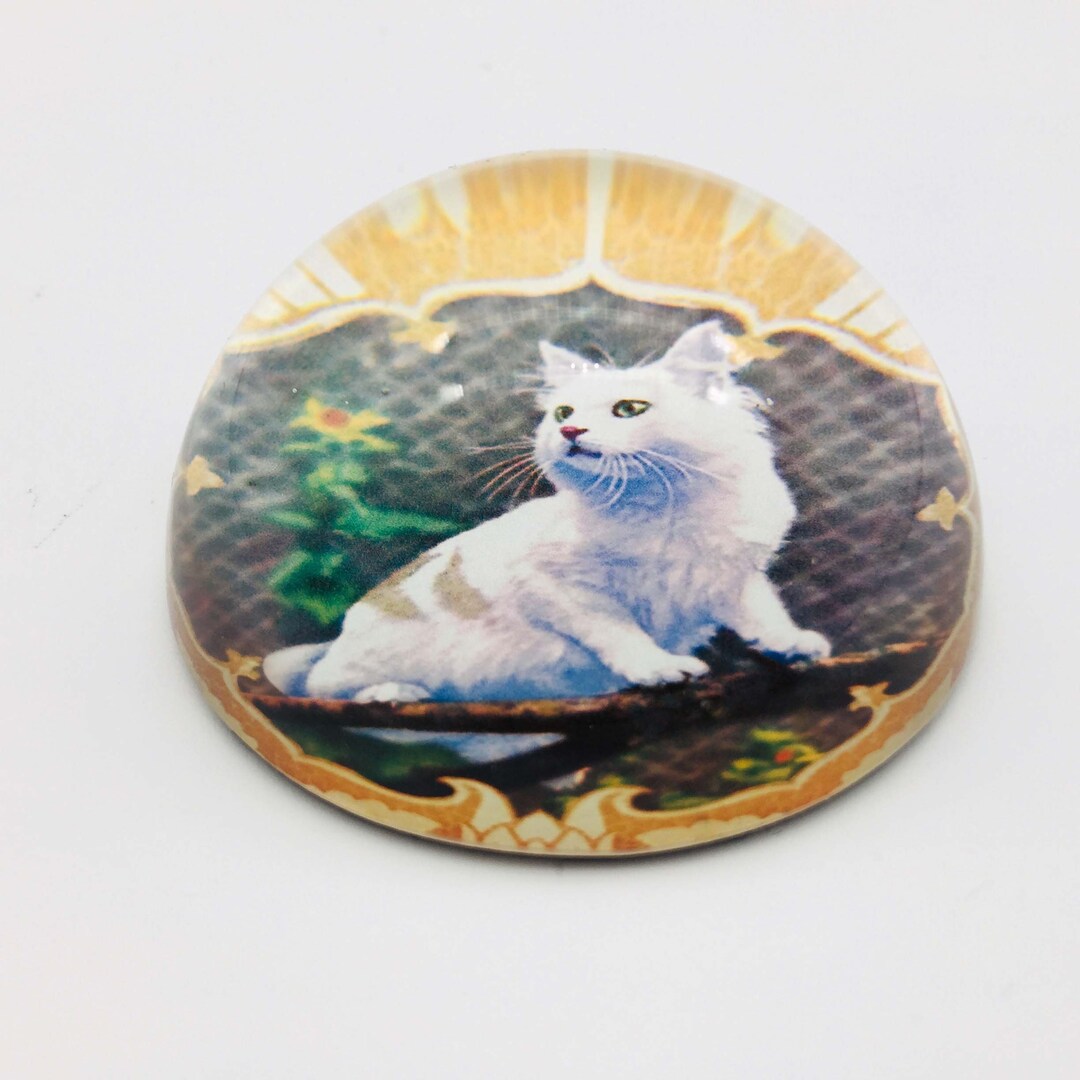 Lucite Cat Paperweight. Vintage Domed Clear Acrylic Paper Weight