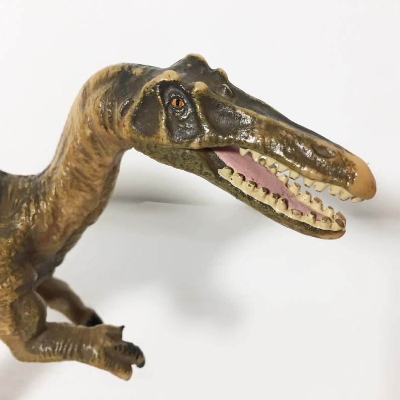 baryonyx collecta