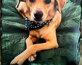 Pet Photos|Slate Custom Photo Gifts, Slate Rock Personalized Plaque, Photos on Stone Slate,Slate Plaques, Wedding Pictures, Family Pictures