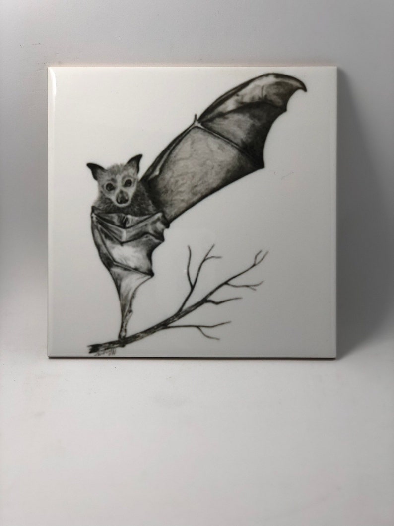 Puede incluir: Un dibujo en blanco y negro de un murci&eacute;lago con las alas extendidas, posado en una rama. El murci&eacute;lago est&aacute; dibujado con un estilo realista, con detalles precisos y una sensaci&oacute;n de movimiento.