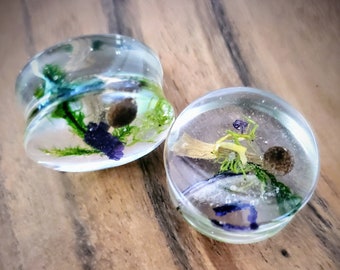 7/8 (22mm) Organic plugs- Mushroom, moss and Iris