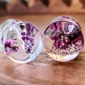 Stunning 1/2 Real dried flower plugs