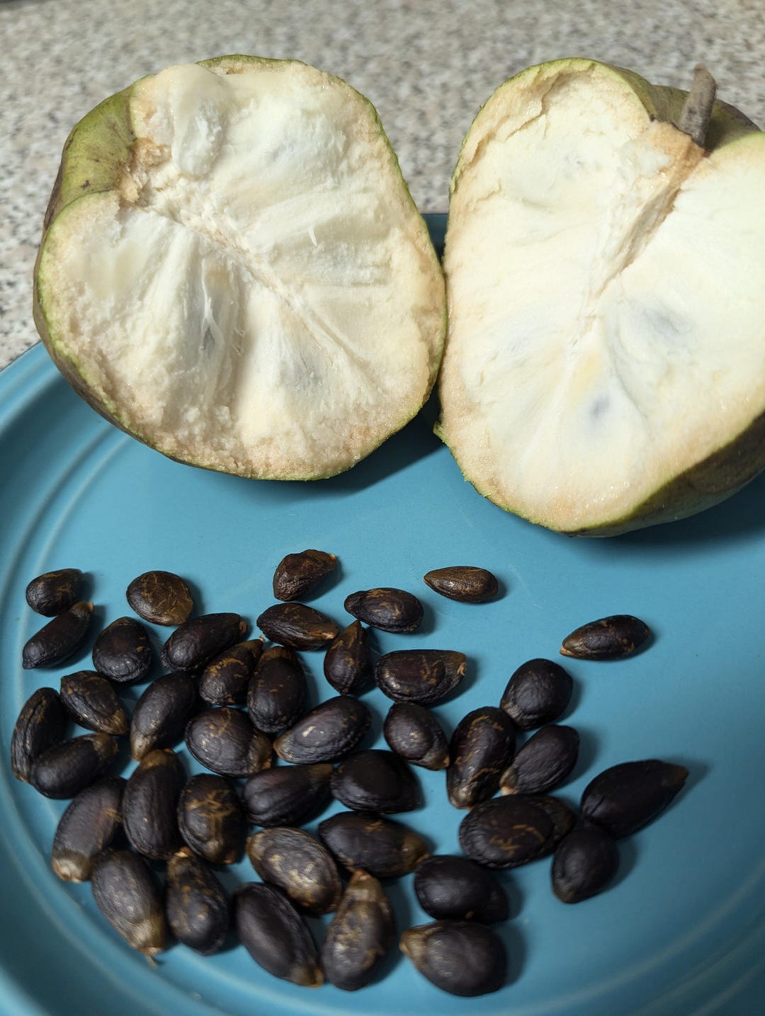 5 Semi Di Cherimoya (Annona Cherimola) - Frutto Esotico