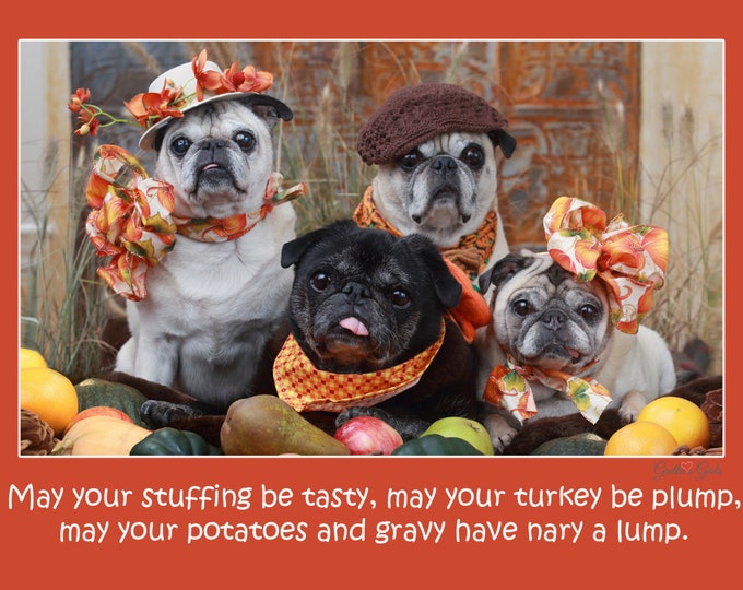 BOX of 10 - Funny Thanksgiving Card - May Your Stuffing Be Tasty - Pug Card -5x7