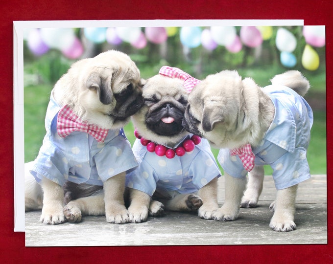 Pug Birthday Card - Puggy Kisses - 5x7 - Pugs and Kisses