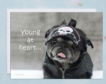 Funny Birthday Card - Happy Birthday Card - Young at Heart, Pug Getting Older Card by Pugs and Kisses