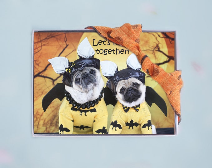 Box of 10 - Let's Hang Together - Halloween Cards Funny  - 5x7