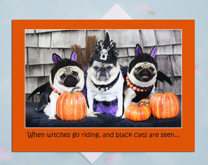 Halloween Card - When Witches Go Riding - Cute Card - 5x7
