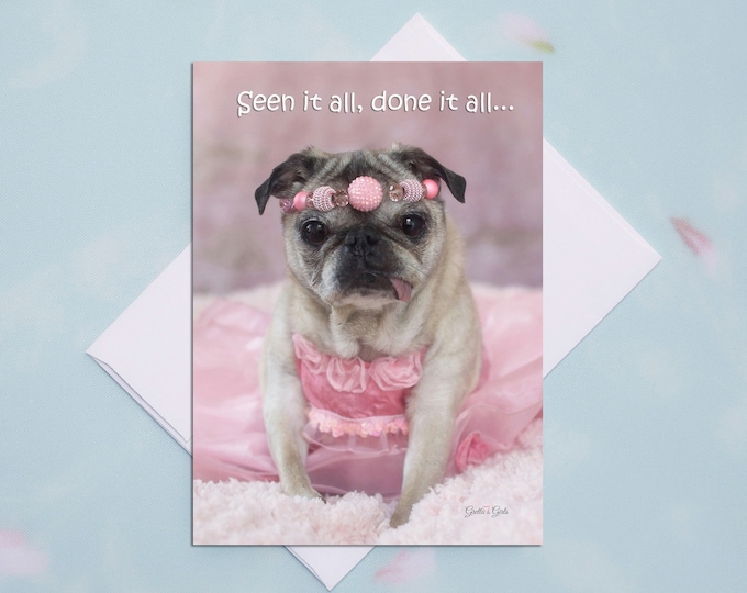 5x7 ALL OCCASION CARD Seen It All Funny Pug Card by Pugs and Kisses