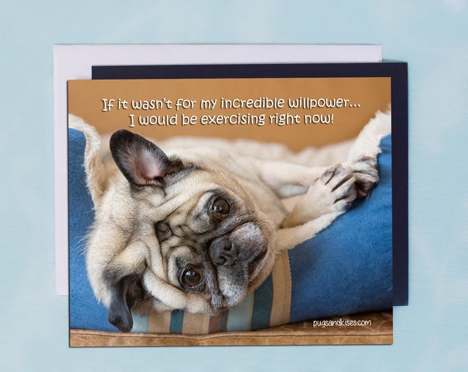 Pug Magnet - If It Wasn't For My Incredible Willpower- 5 x 4 Pug magnet - by Pugs and Kisses
