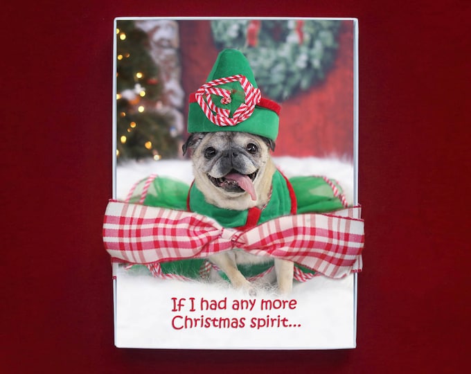 BOXED CHRISTMAS Cards - If I Had Any More Christmas Spirit - Funny Pug Christmas Card- 5x7