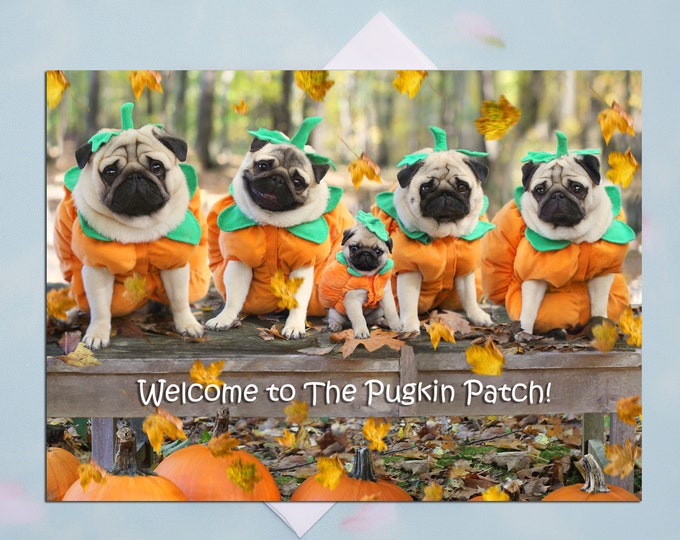 THANKSGIVING Card - Welcome to the Pugkin Patch - Funny Pug Thanksgiving Card 5x7