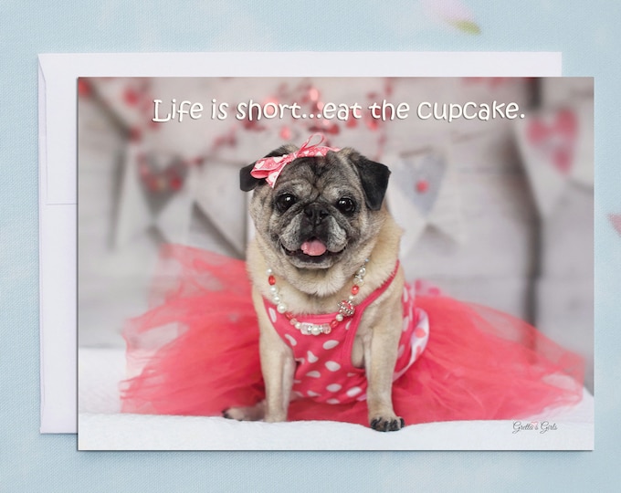 Funny Birthday Cards - Pug Card - Birthday Cards - 5x7