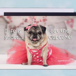 Pug Magnet - Life Is Short Eat The cupcake - 6x4  Pug magnet - by Pugs and Kisses