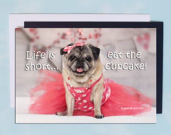 Pug Magnet - Life Is Short Eat The Cupcake - 6x4  Pug magnet - by Pugs and Kisses