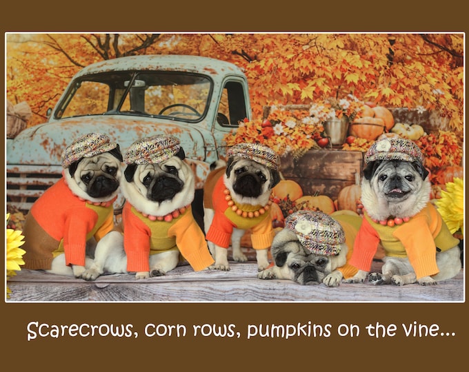 THANKSGIVING Card - Scarecrows, Corn Rows - Funny Pug Thanksgiving Card 5x7