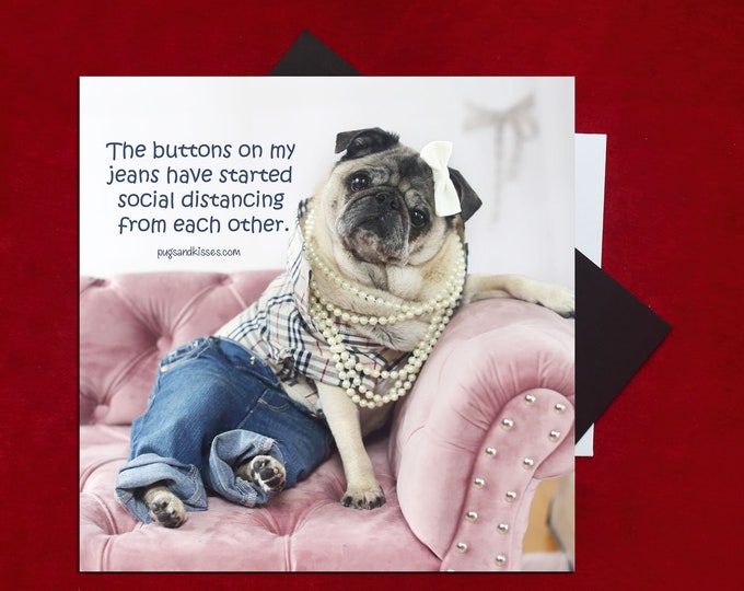 Pug Magnet - Social Distancing - 5 x 4 Pug magnet - by Pugs and Kisses