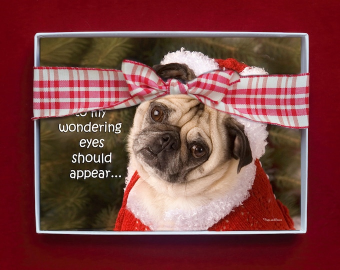BOXED HOLIDAY Cards - When What To My Wondering Eyes - Funny Pug Holiday Cards - 5x7 -