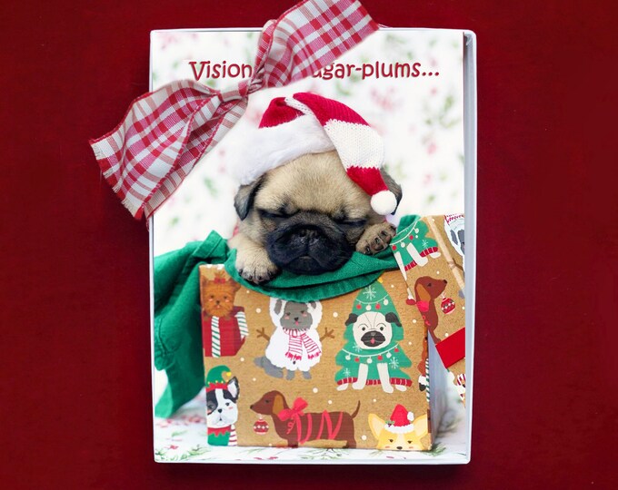 BOXED CHRISTMAS Cards - Visions of Sugar-Plums - Pug Puppy Christmas cards - 5x7