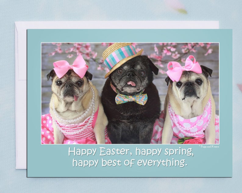 Pug Happy Spring Happy Easter, Happy Spring 5x7 Pug Easter Card by Pugs and Kisses - Etsy