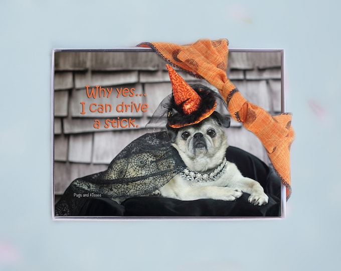 Box of 10 Halloween Cards Funny - Why Yes...I Can Drive A Stick - 5x7