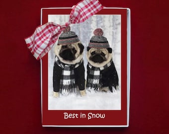 BOXED HOLIDAY Cards - Best in Snow - pug Christmas cards by Pugs and Kisses 5x7 -