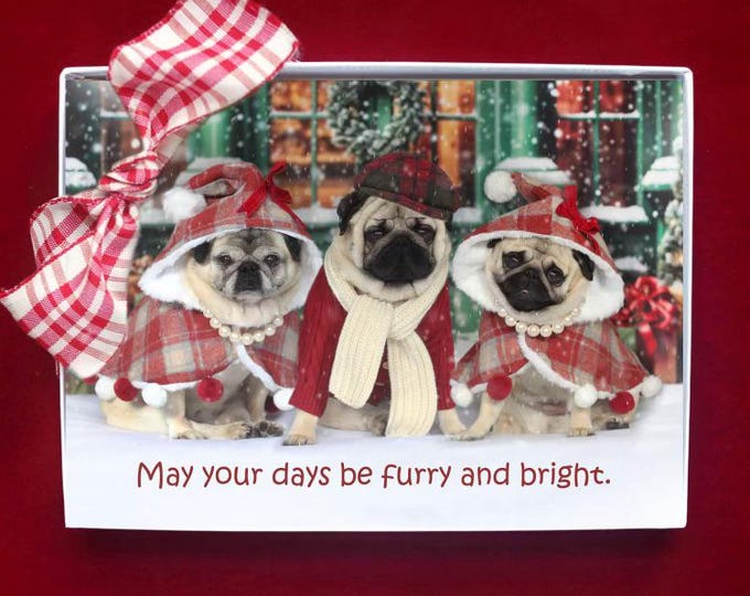 BOXED CHRISTMAS Cards - May Your Days Be Furry and Bright - Best Selling Pug Christmas Card - 5x7 Pugs and Kisses