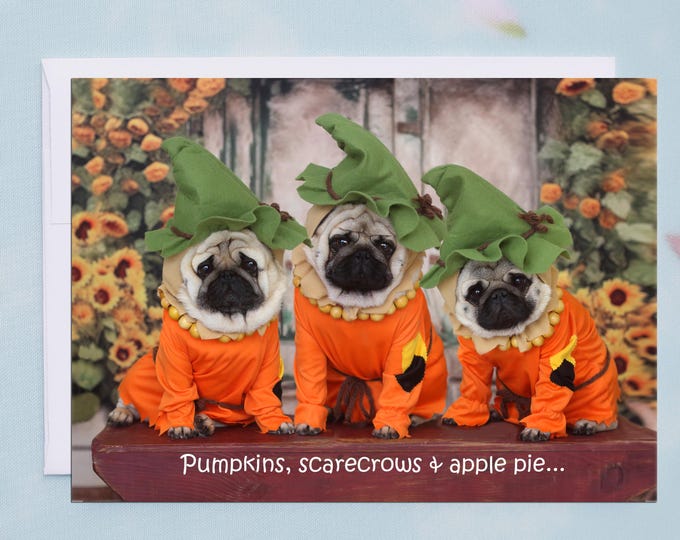 ALL NEW THANKSGIVING Card - Pumpkins, Scarecrows, & Apple Pie - Funny Pug Thanksgiving Card 5x7