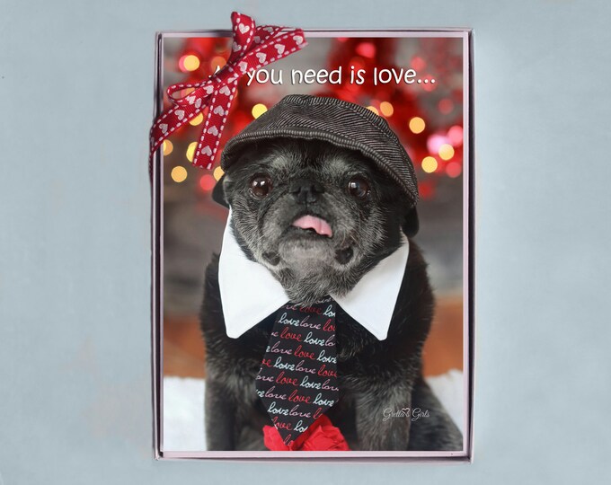 BOX OF 10 5x7 CARDS - Love and Kisses - Funny Valentines Day Card