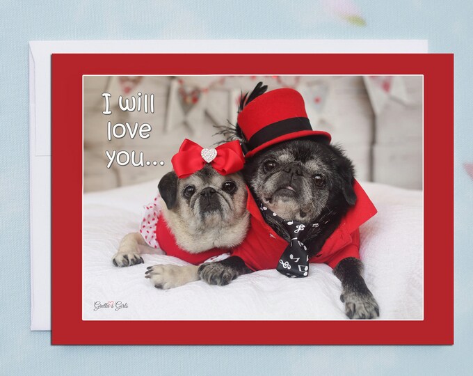 Funny Valentine Card - I Will Love You- 5x7 - Pug Card