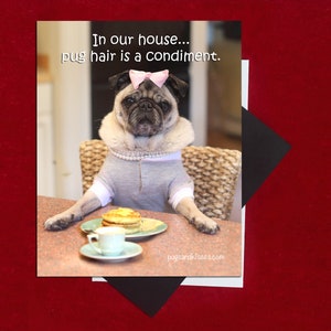 Pug Magnet - Pug Hair Is a Condiment - 4 x 5 Pug magnet by Pugs and Kisses