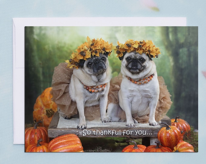 THANKSGIVING Card - So Thankful for YOU - Funny Pug Card by Pugs and Kisses - 5x7