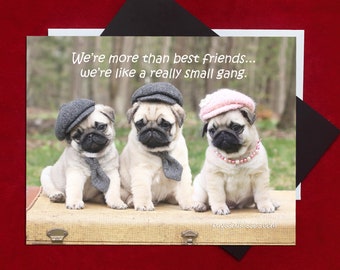 SALE Pug Magnet - We're More Than Friends - 5 x 4 Pug magnet - by Pugs and Kisses