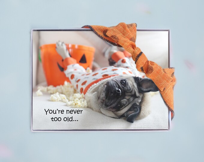 Box of 10 - Halloween Cards Funny - Never Too Old - 5x7