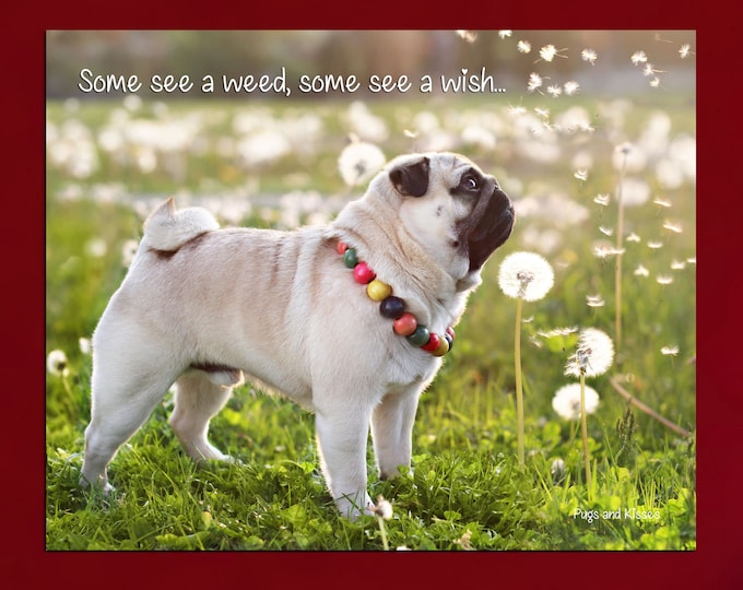 Pug Wall Art - Some See a Wish - Pug Art Print - Pug Gift - by Pugs and Kisses 5x7 8x10 11x14 16x20