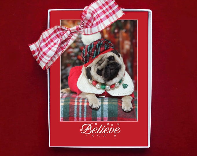 NEW! BOXED CHRISTMAS Cards - Believe in the Magic of the Season - 10 Pug Puppy cards - 5x7