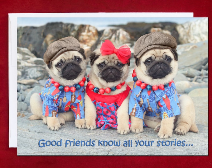 Birthday Card - Good Friends Know All Your Stories  - 5x7 Pug card - Pugs and Kisses