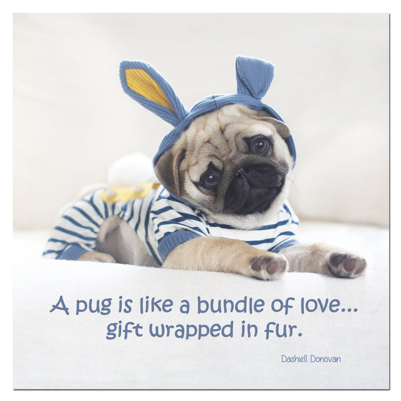 2021 Wall CALENDAR Pug Calendar Pugs and Kisses | Etsy