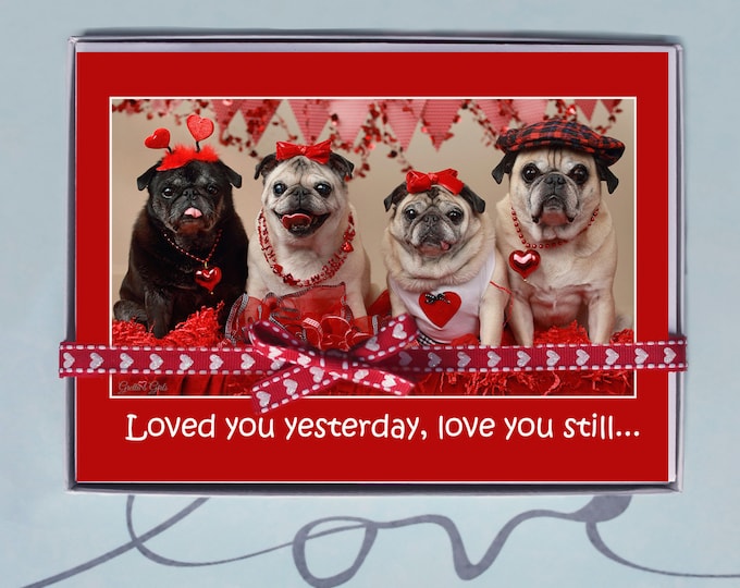 BOX OF 10 5X7 CARDS Love You Always - Funny Valentines Day Card -