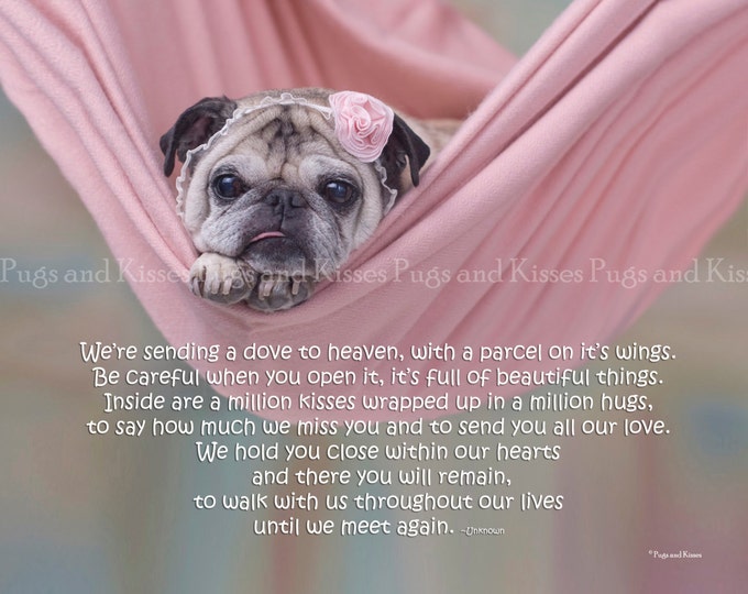 Pug Wall Art - Memorial Wall Art -  Pet Sympathy Gift - We're Sending A Dove To Heaven by Pugs and Kisses