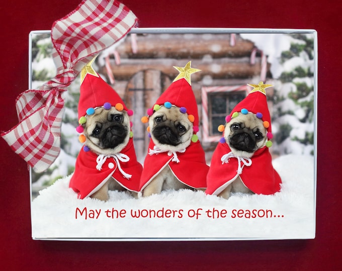 BOXED HOLIDAY Cards - May the Wonders of the Season - Pug Holiday Cards - 5x7