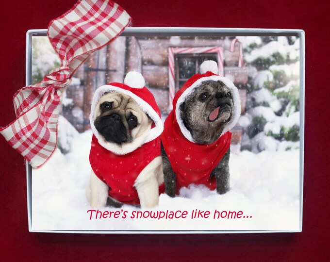 BOXED CHRISTMAS Cards - There's Snowplace Like Home - Pug Christmas Cards - 5x7