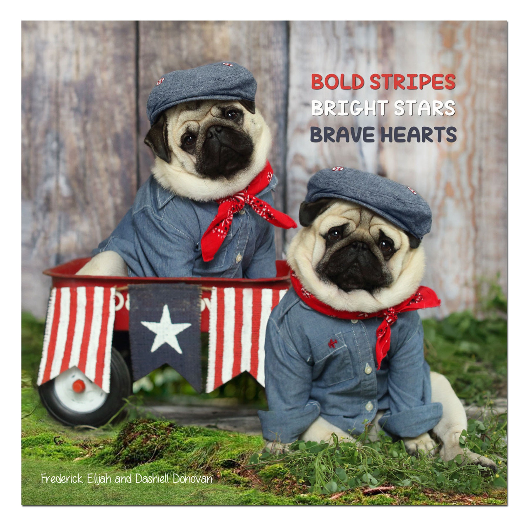 2023-wall-calendar-pug-calendar-pugs-and-kisses
