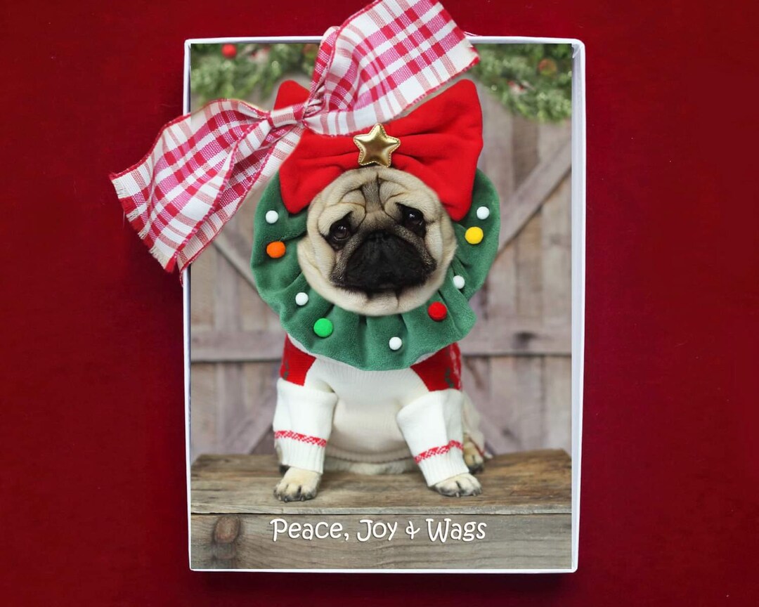 BOXED CHRISTMAS Cards - Peace, Joy & Wags - Funny Pug Christmas Cards ...