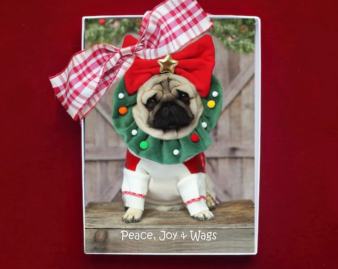 BOXED CHRISTMAS Cards - Peace, Joy & Wags - Funny Pug Christmas Cards - 5x7